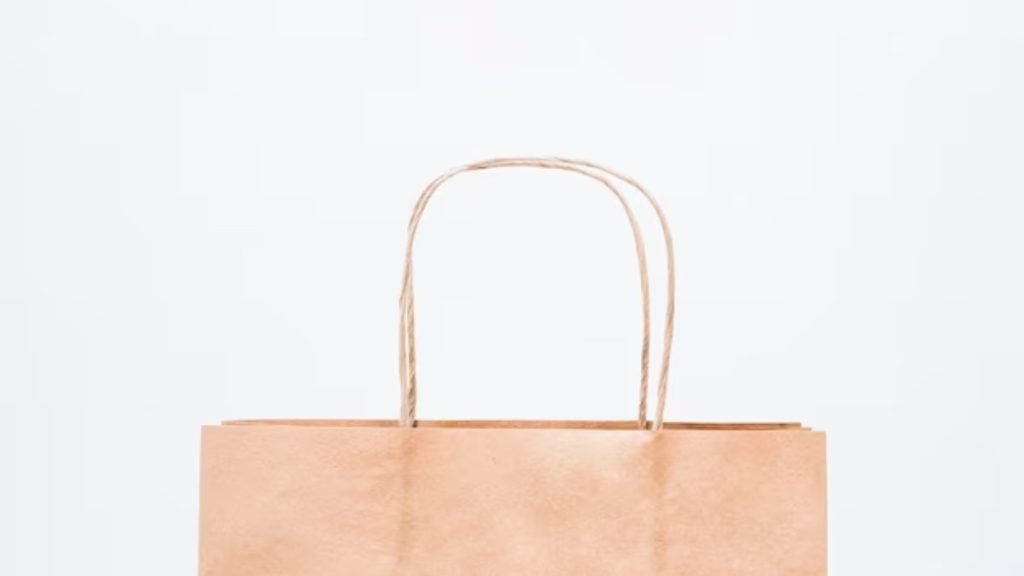 Jenis Tali Paper Bag dengan Twisted Handles